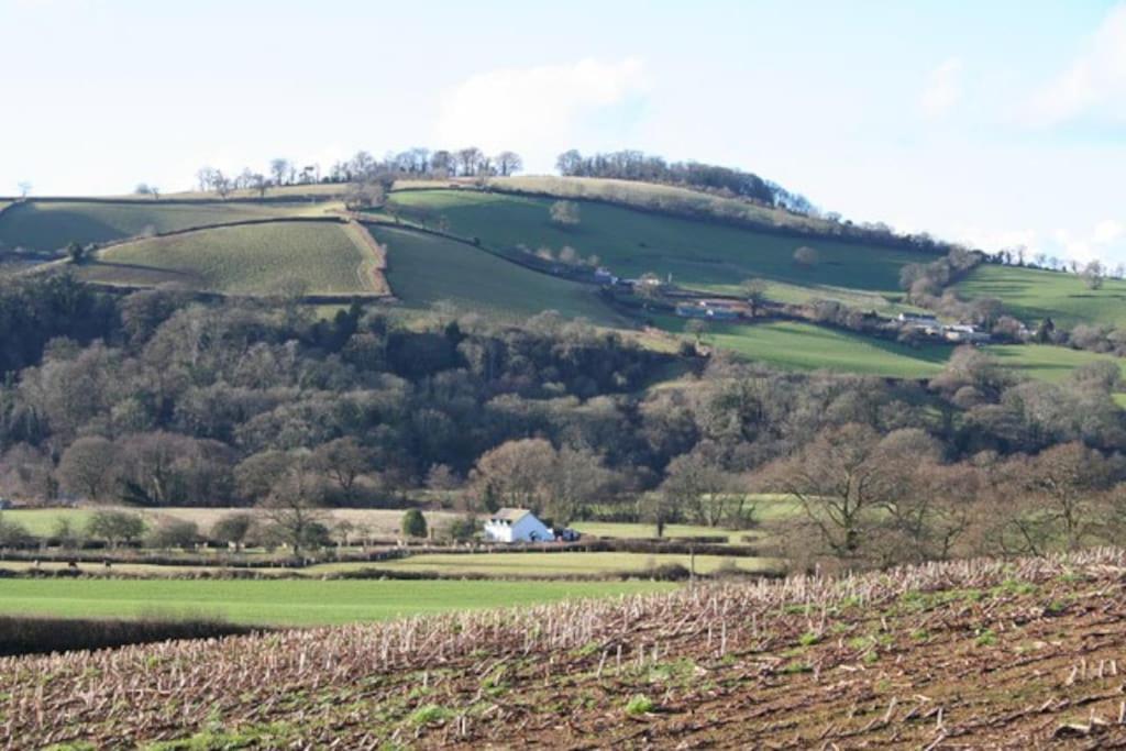 Rural Devon Retreat In Stunning Exe Valley. Exeter Eksteriør bilde